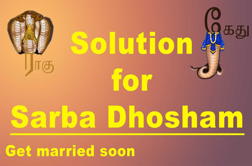  Solution for dhosha of serpants/ராகு கேது சர்ப தோஷ பரிஹாரம்